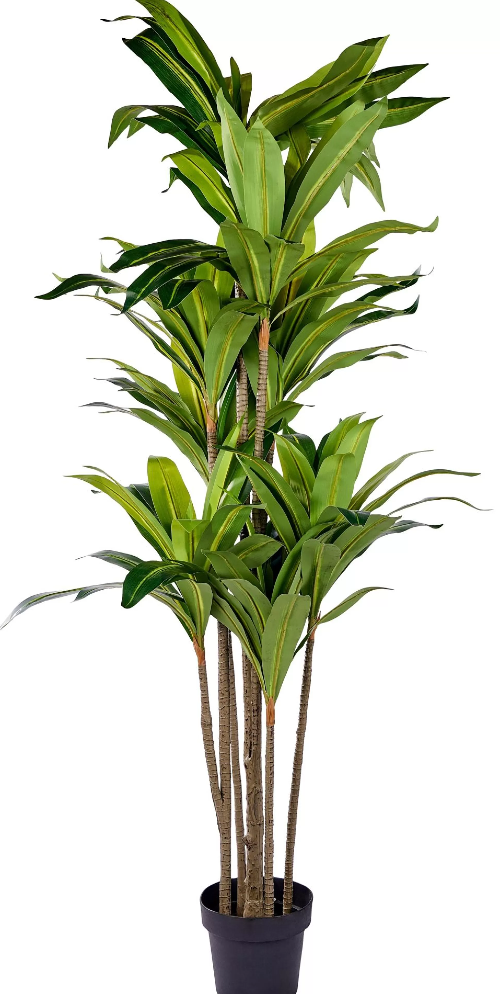 Plantas Artificiales<CASA Brazi Planta Verde