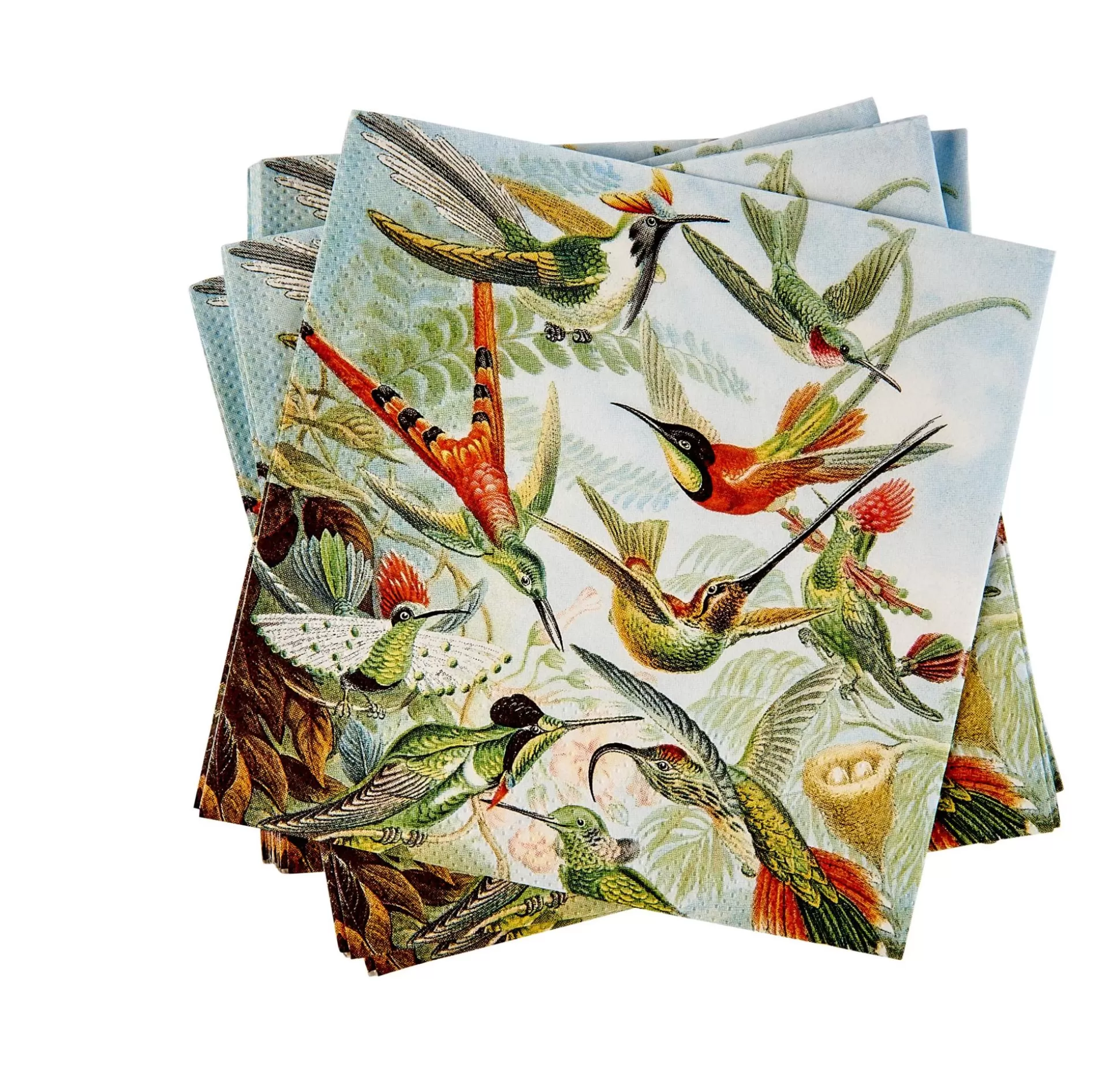 Servilletas<CASA Colibri Paquete De 20 Servilletas Multicolor