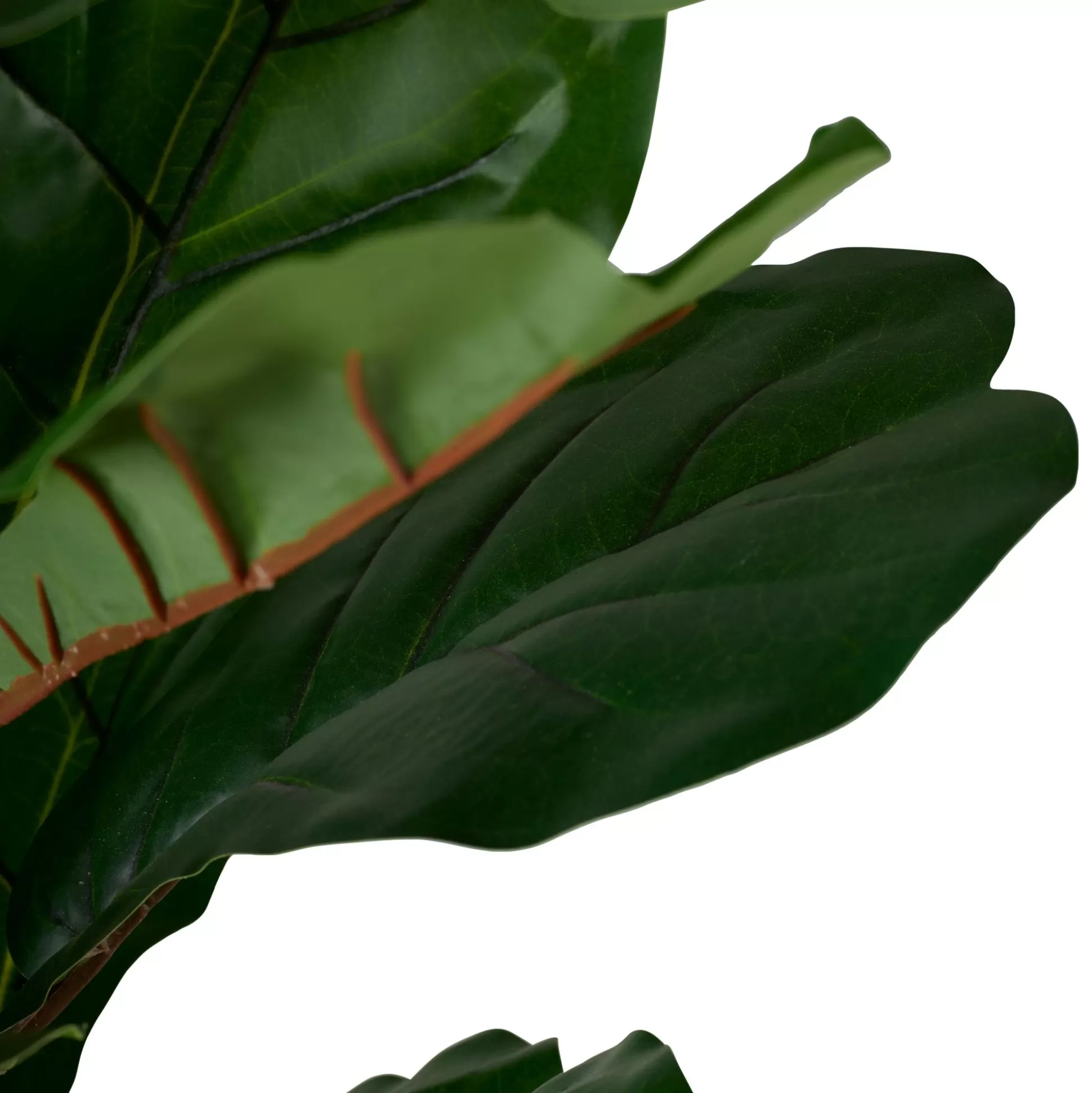Plantas Artificiales<CASA Figi Planta Artificial Varios Colores