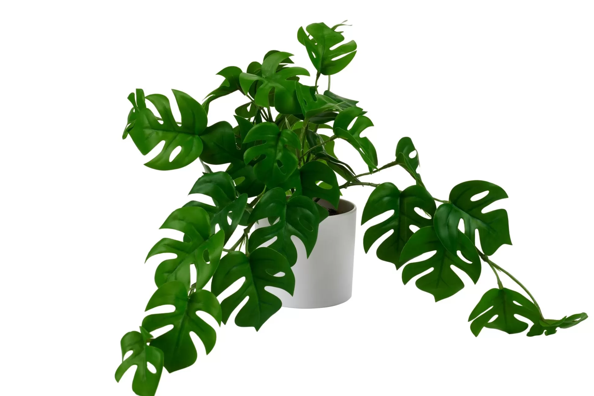 Plantas Artificiales<CASA Monstera Planta Varios Colores, Blanco, Verde